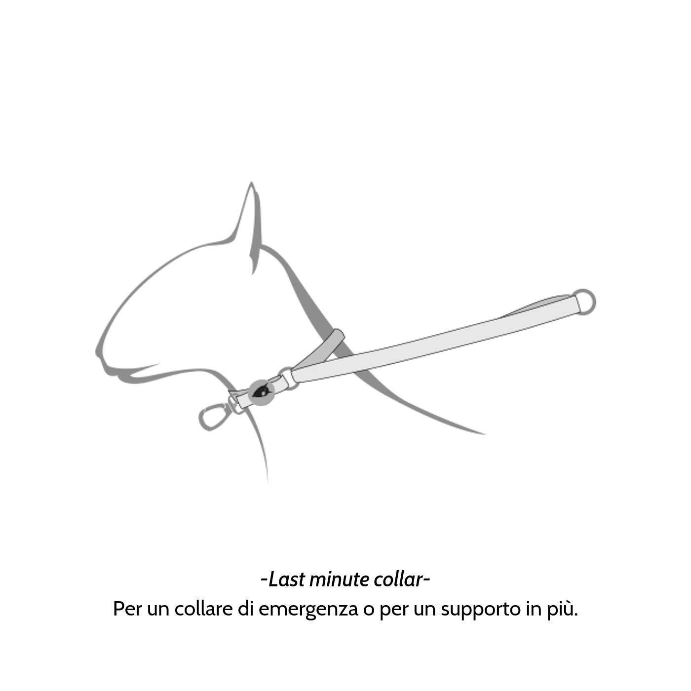 Morso Guinzaglio Multifunzione Bubble Leo Per Cani 11 Morso Guinzaglio Multifunzione Bubble Leo Per Cani - immagine 9