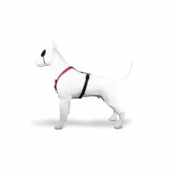 Morso Pettorina H Bubble Leo -Alimentazione negozio 1100 3 1