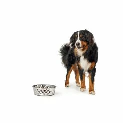 Hunter Ciotola Namy Per Cani In Acciaio 2.800ml -Alimentazione negozio 1127 4
