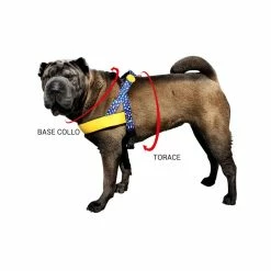 Morso Pettorina Norvegese Must-Hard Maze Per Cani -Alimentazione negozio 1239 19 1