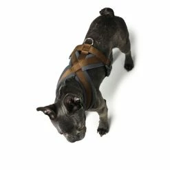 Hunter Pettorina Per Cani London Comfort Marrone -Alimentazione negozio 3962 1