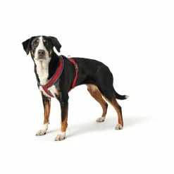 Hunter Pettorina Per Cani London Comfort Rossa -Alimentazione negozio 3972
