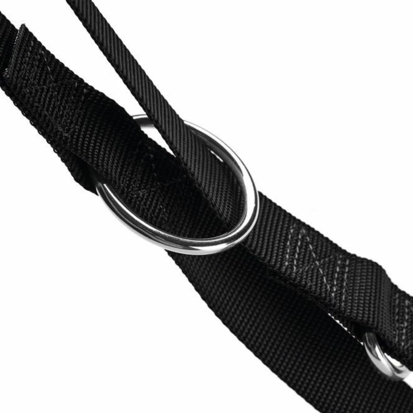 Hunter Guinzaglio Regolabile Per Cani London Nero 5 Hunter Guinzaglio Regolabile Per Cani London Nero - immagine 3