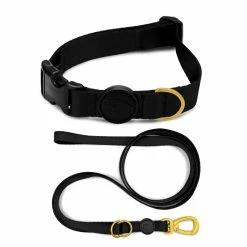 Morso Collare E Guinzaglio Gold Caviar Per Cani Misura L