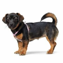 Hunter Pettorina Modern Art Round & Soft Petit Luxus Per Cani Rosa 6 Hunter Pettorina Modern Art Round & Soft Petit Luxus Per Cani Rosa -Alimentazione negozio 4774