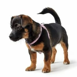 Hunter Pettorina Modern Art Round & Soft Petit Luxus Per Cani Rosa -Alimentazione negozio 4775 2