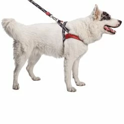 Morso Pettorina Norvegese Broken Self -Alimentazione negozio 4999