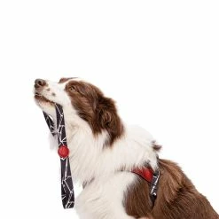 Morso Guinzaglio Fisso Broken Self Per Cani -Alimentazione negozio 5005