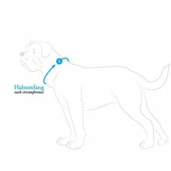 Hunter Collare Softie Alu-Strong In Similpelle Per Cani Beige -Alimentazione negozio 5627