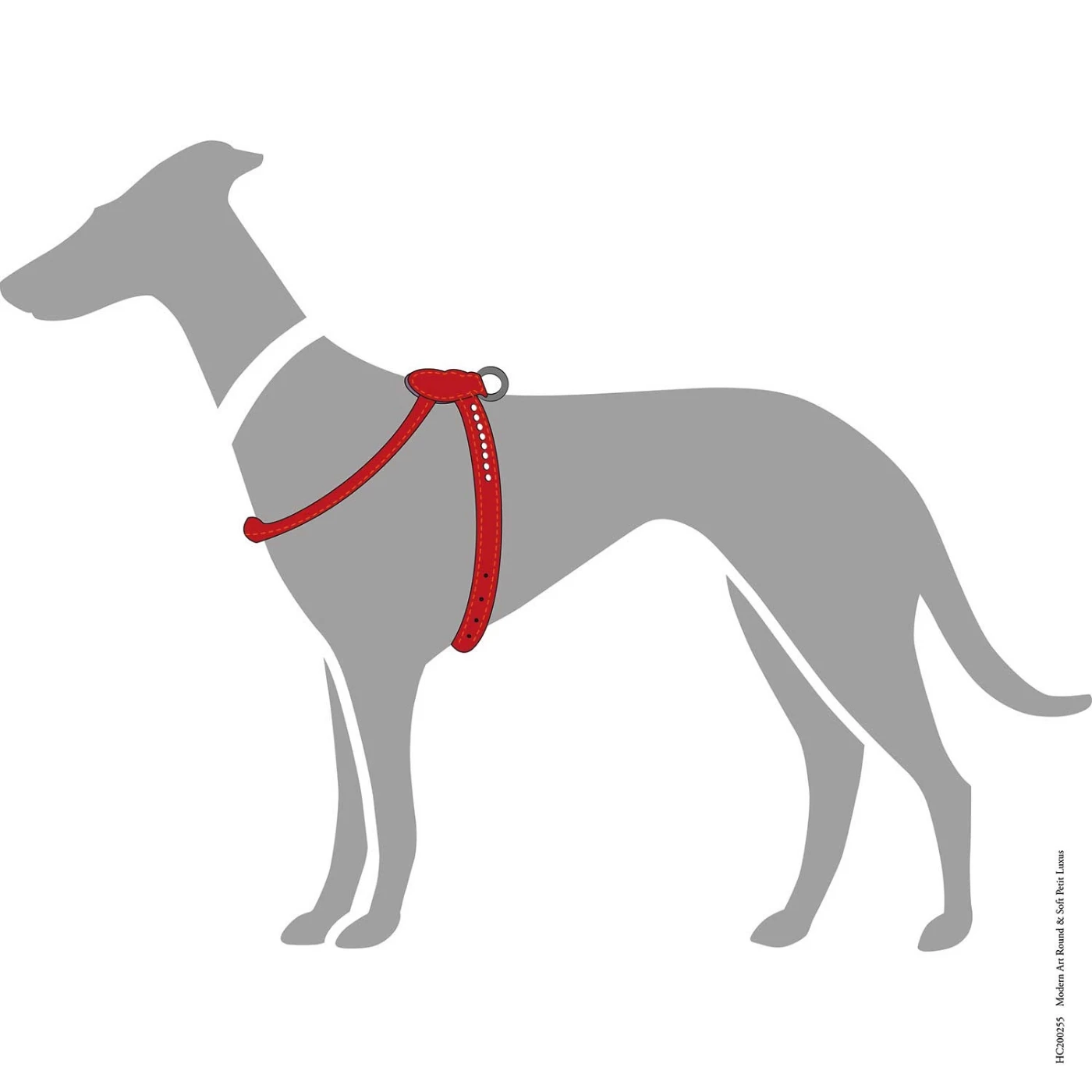 Hunter Pettorina Modern Art R&S Petit Luxus Rosso Per Cani 4 Hunter Pettorina Modern Art R&S Petit Luxus Rosso Per Cani - immagine 2