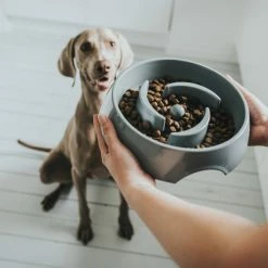 Hunter Ciotola Anti-Ingozzamento Atlanta In Melamina Grigia Per Cani -Alimentazione negozio 5779