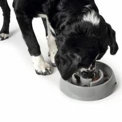 Hunter Ciotola Anti-Ingozzamento Atlanta In Melamina Grigia Per Cani 19 Hunter Ciotola Anti-Ingozzamento Atlanta In Melamina Grigia Per Cani -Alimentazione negozio 5783 1