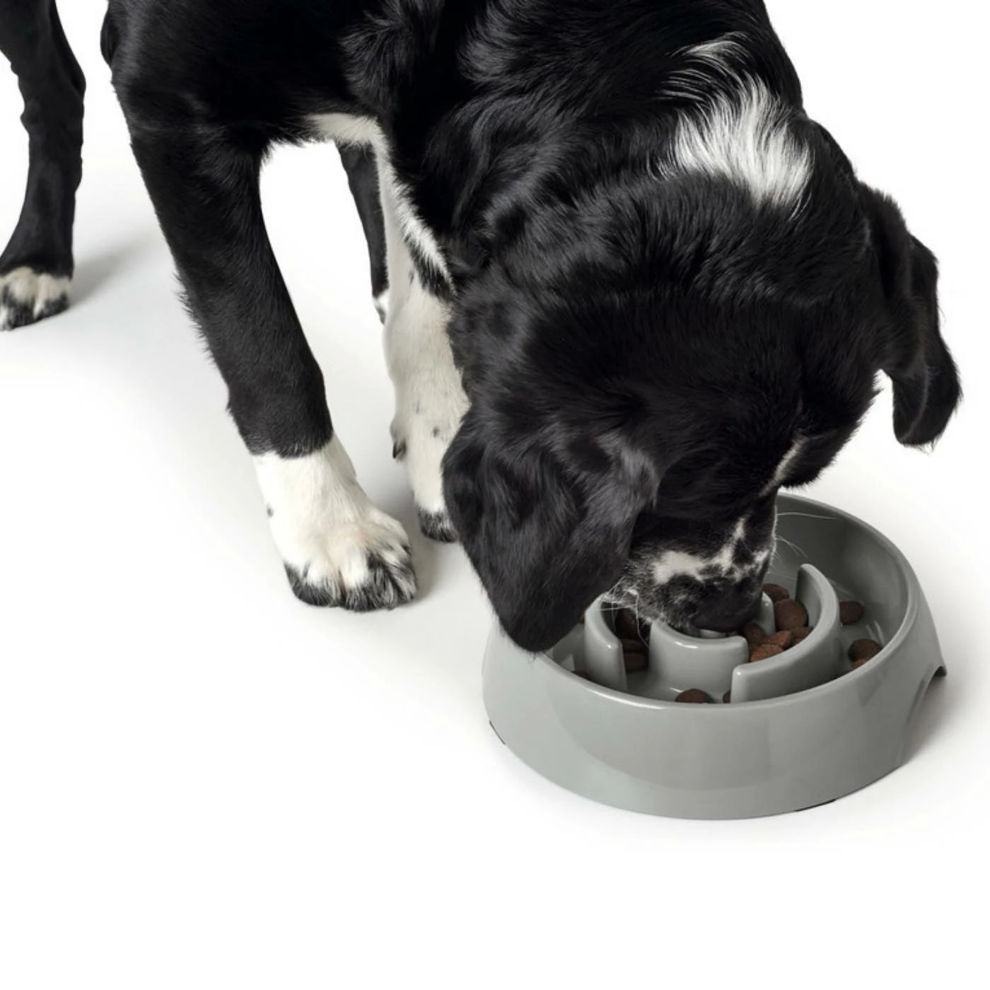 Hunter Ciotola Anti-Ingozzamento Atlanta In Melamina Grigia Per Cani 10 Hunter Ciotola Anti-Ingozzamento Atlanta In Melamina Grigia Per Cani - immagine 8