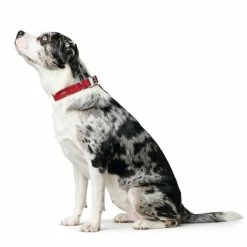 Hunter Collare Per Cani Softie Alu-Strong In Silimpelle Rosso -Alimentazione negozio 5787
