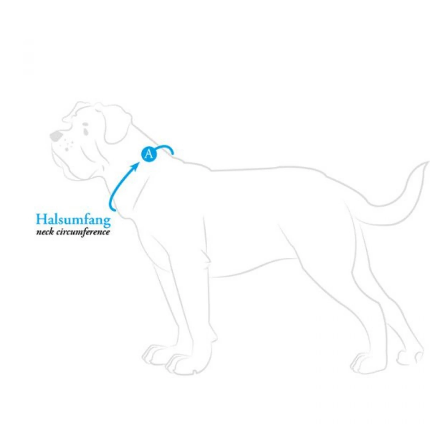 Hunter Collare Per Cani Softie Alu-Strong In Silimpelle Lampone 4 Hunter Collare Per Cani Softie Alu-Strong In Silimpelle Lampone - immagine 2