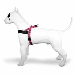 Morso Pettorina Norvegese Bubble Leo