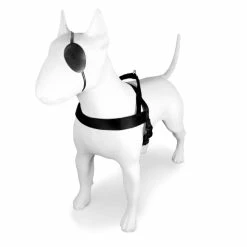 Morso Pettorina Norvegese Pureness Per Cani 10 Morso Pettorina Norvegese Pureness Per Cani -Alimentazione negozio 5855 1