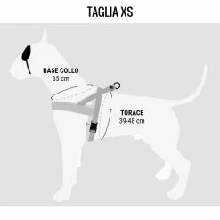 Morso Pettorina Norvegese Pureness Per Cani 11 Morso Pettorina Norvegese Pureness Per Cani -Alimentazione negozio 5928