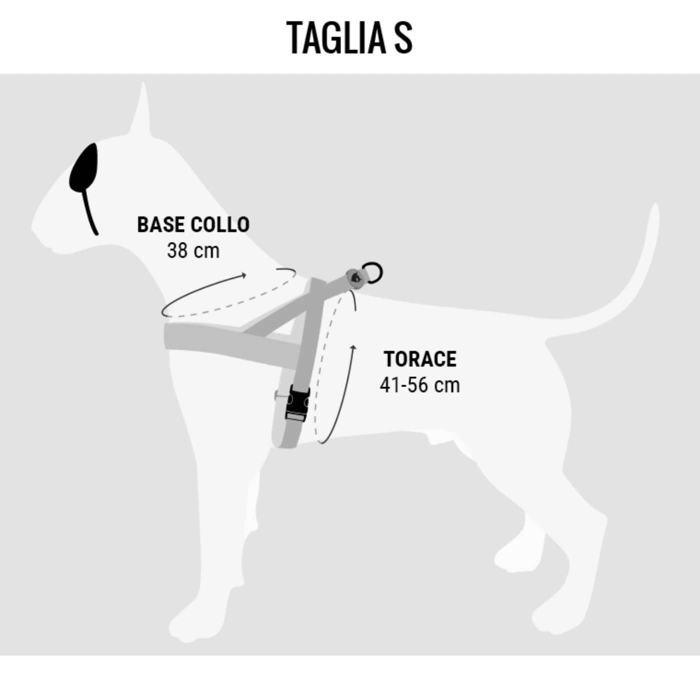 Morso Pettorina Norvegese Pureness Per Cani 6 Morso Pettorina Norvegese Pureness Per Cani - immagine 4