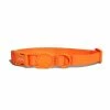 Zee.Dog Collare Per Cani Regolabile Linea Neopro Tangerine -Alimentazione negozio 6511 1