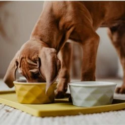 Hunter Sottociotole Eiby In Silicone Giallo 48x30cm -Alimentazione negozio 6567