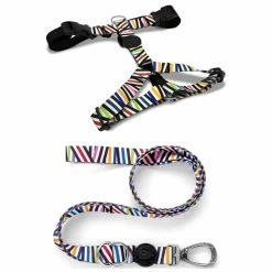 Morso Pettorina M E Guinzaglio Multifunzione S/M Spaghetti Incident Per Cani