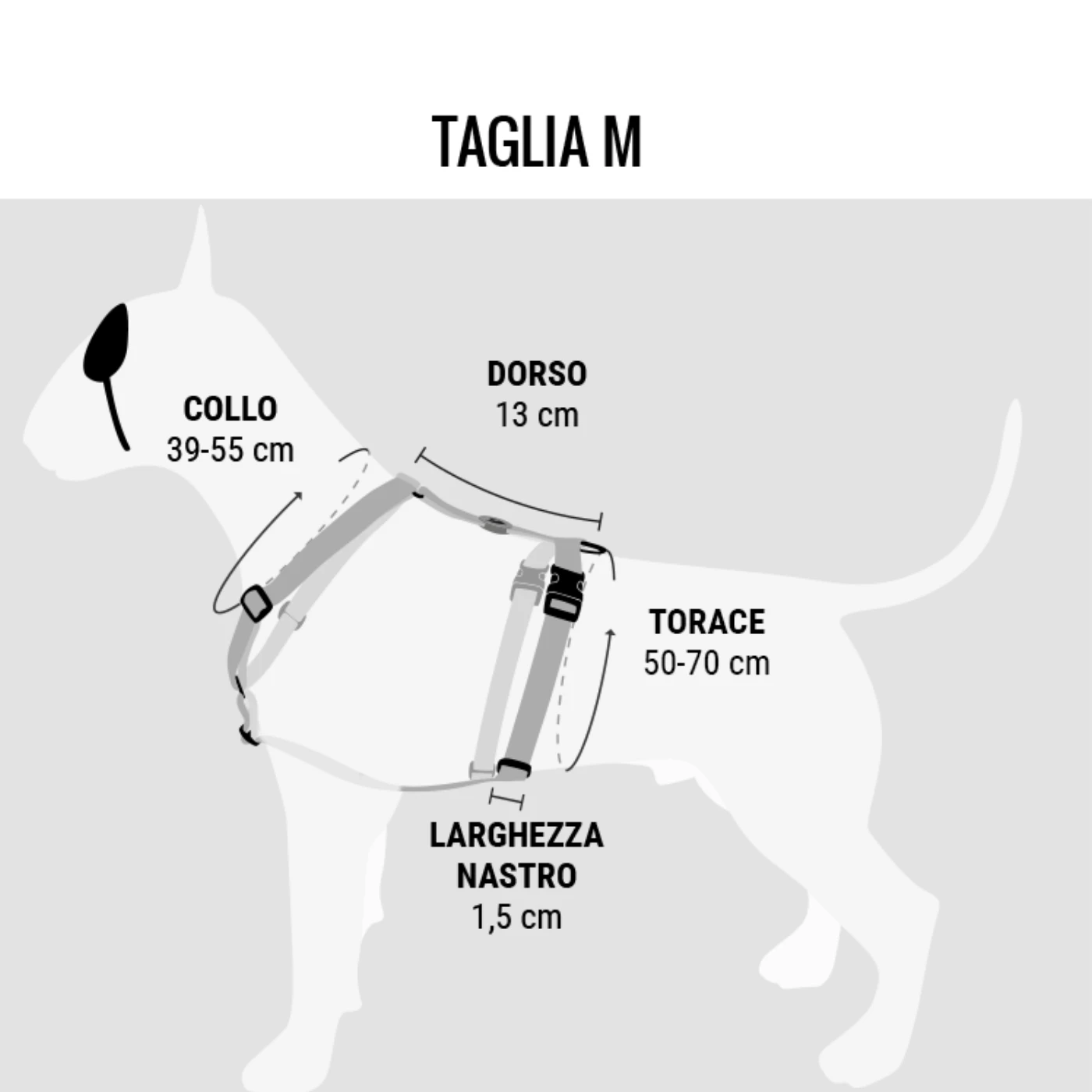 Morso Pettorina H Spaghetti Incident M Per Cani 4 Morso Pettorina H Spaghetti Incident M Per Cani - immagine 2