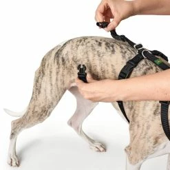 Hunter Pettorina Vario Rapid Antipanico In Nylon Per Cani Nero -Alimentazione negozio 6883 1