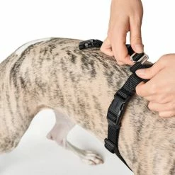 Hunter Pettorina Vario Rapid Antipanico In Nylon Per Cani Nero -Alimentazione negozio 6885