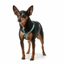 Hunter Pettorina Ad H Tripoli In Nylon Per Cani Azzurro Riflettente -Alimentazione negozio 6891 2