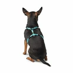 Hunter Pettorina Ad H Tripoli In Nylon Per Cani Azzurro Riflettente -Alimentazione negozio 6892 1