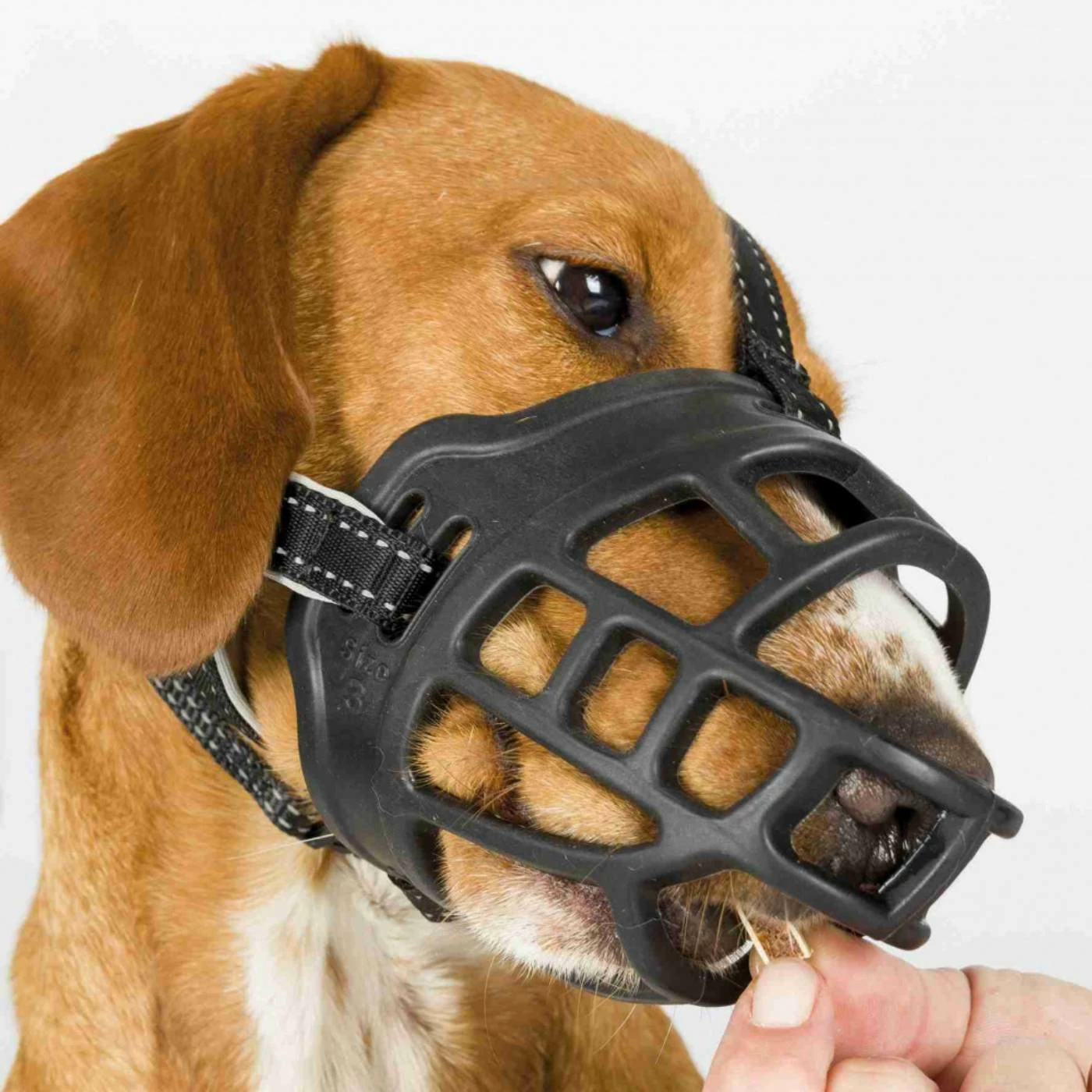 Trixie Museruola Flex Muzzle In Gomma Per Cani 9 Trixie Museruola Flex Muzzle In Gomma Per Cani - immagine 7