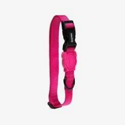 Zee.Dog Collare Regolabile Pink Led Per Cani