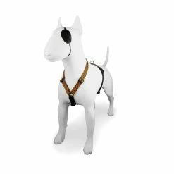 Morso Pettorina H Must-Hard Maze Per Cani -Alimentazione negozio 7798