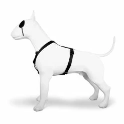 Morso Pettorina H Pureness Per Cani -Alimentazione negozio 7808 2