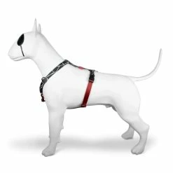 Morso Pettorina H Broken Self Per Cani -Alimentazione negozio 7818 1