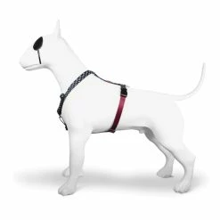 Morso Pettorina H Power Flow Per Cani -Alimentazione negozio 7828 1