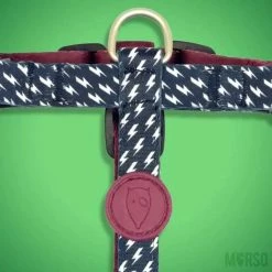 Morso Pettorina H Power Flow Per Cani -Alimentazione negozio 7831