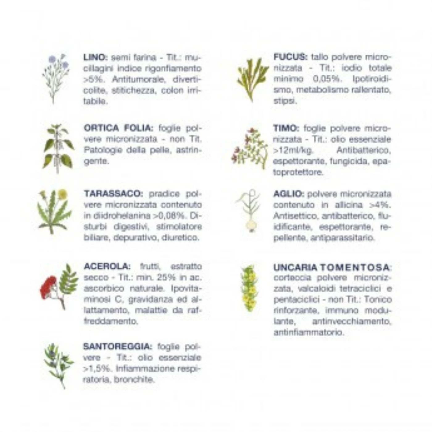 Vet Line Linea Salute Bufalo Per Cani Adulti VetLine 5 Vet Line Linea Salute Bufalo Per Cani Adulti VetLine - immagine 3