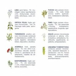 Vet Line Linea Salute Bufalo Per Cani Adulti VetLine -Alimentazione negozio 7868