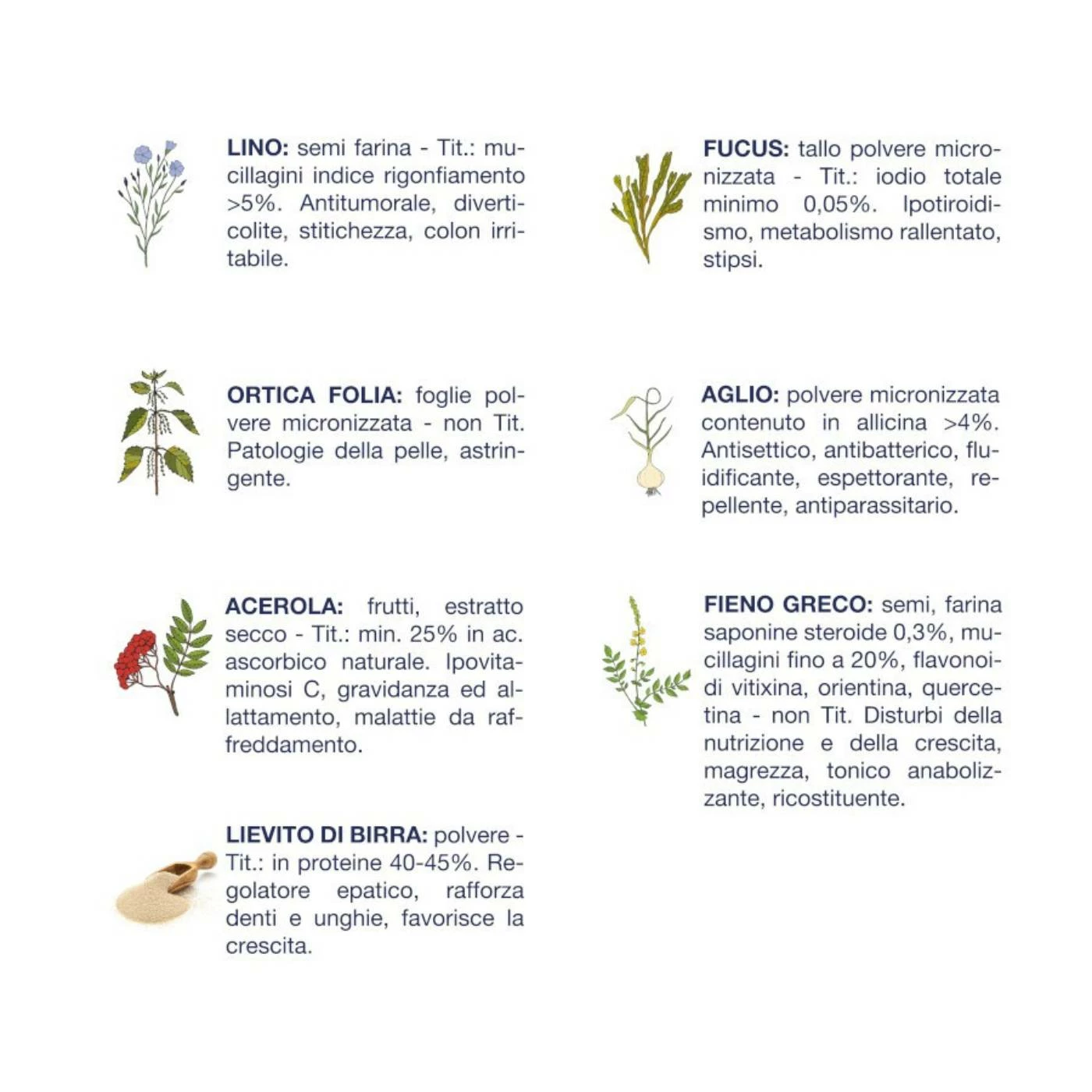 Vet Line Accrescimento Maiale Per Cuccioli Monoproteico VetLine 6 Vet Line Accrescimento Maiale Per Cuccioli Monoproteico VetLine - immagine 4