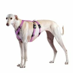 Haqihana Srl Haqihana Pettorina Doppia H Pink Antifuga