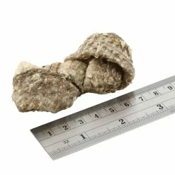 Fish4Dogs Dental Sea Jerky Fish Knots Premi Snack Per Cani 500g -Alimentazione negozio 8369