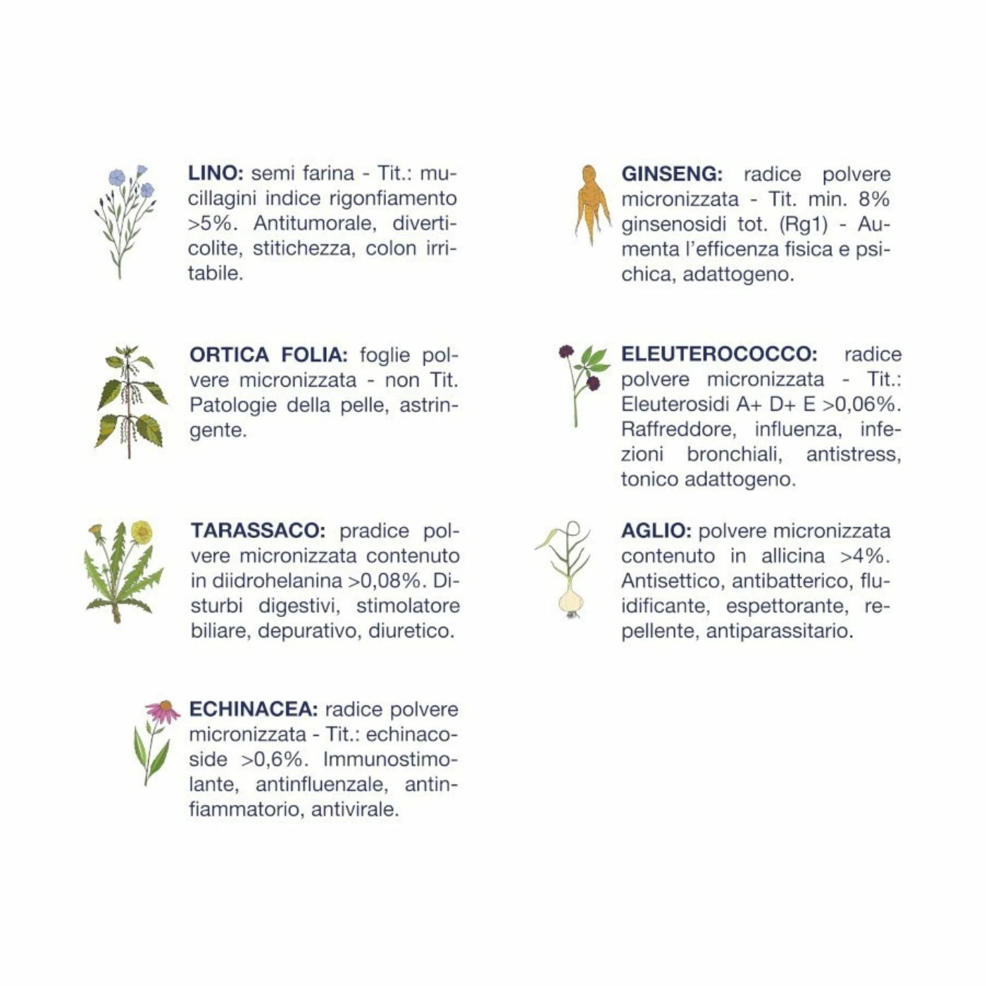 Vet Line Pollo Per Cani Adulti Monoproteico VetLine 6 Vet Line Pollo Per Cani Adulti Monoproteico VetLine - immagine 4