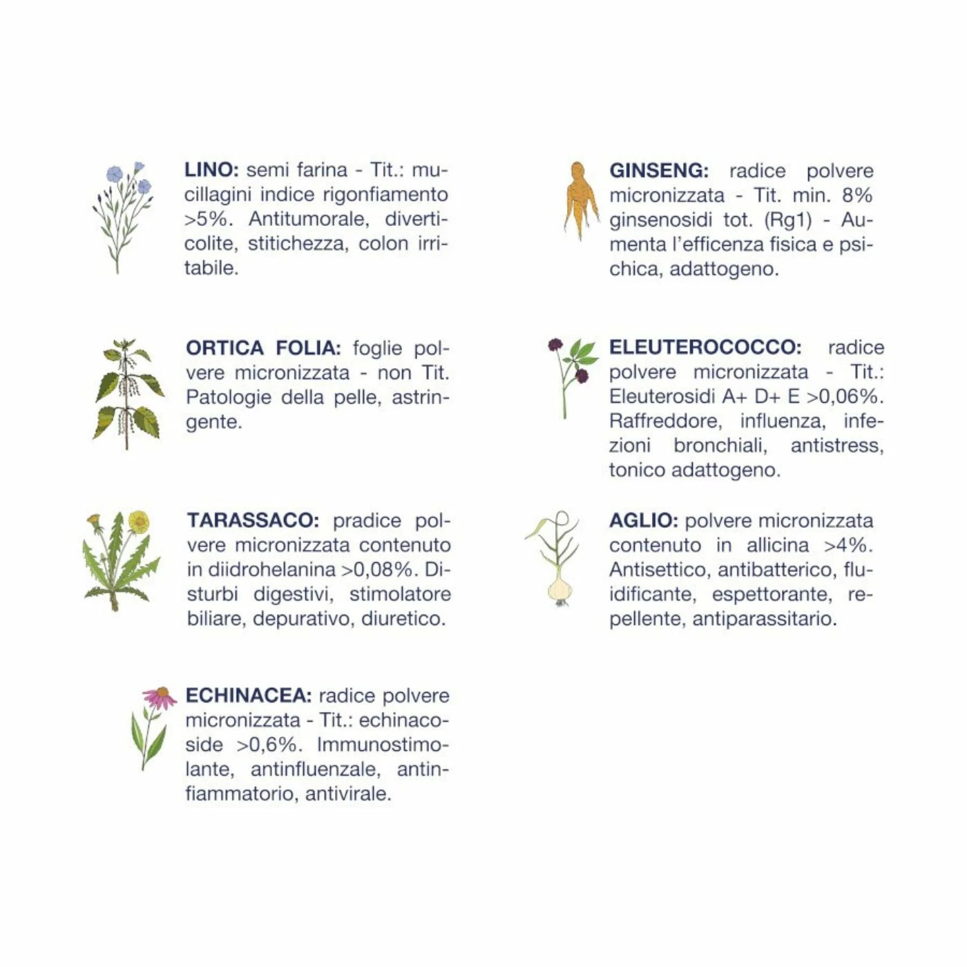 Vet Line Pollo Per Cani Adulti Di Piccola Taglia Monoproteico VetLine 5 Vet Line Pollo Per Cani Adulti Di Piccola Taglia Monoproteico VetLine - immagine 3