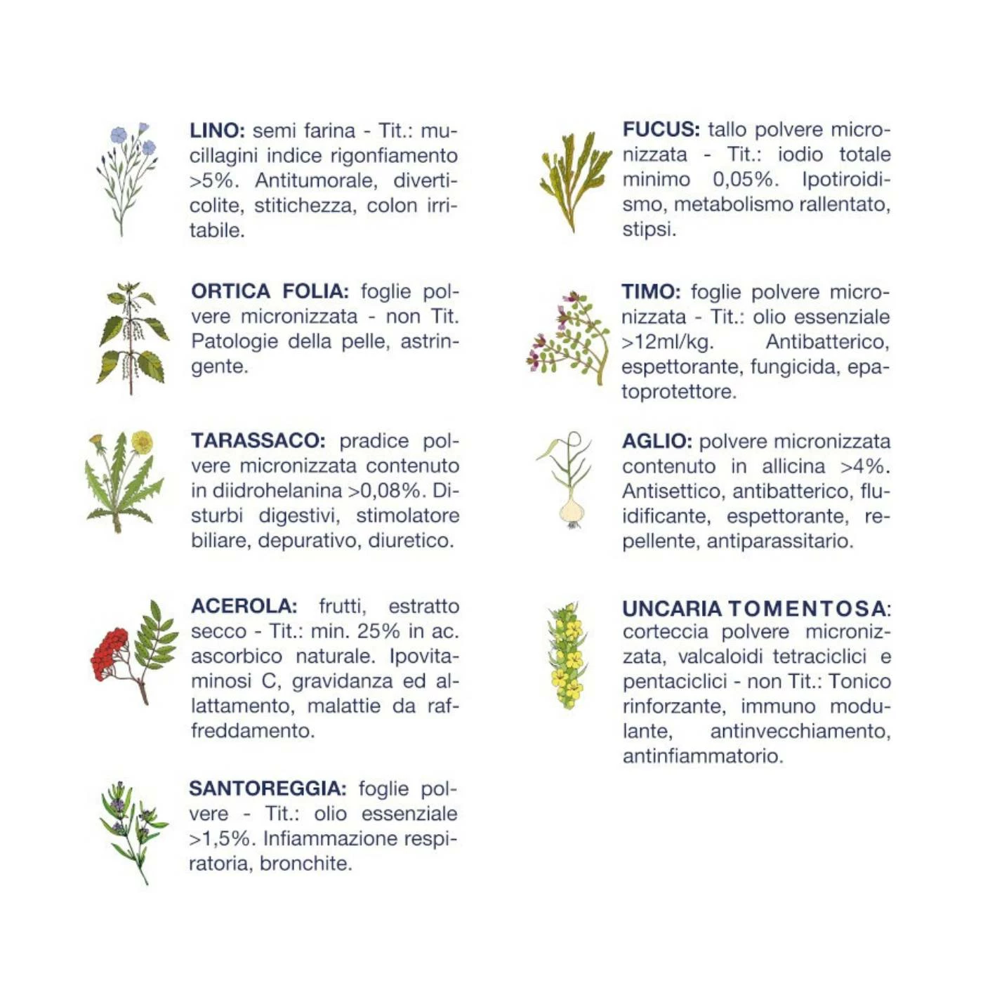 Vet Line Linea Salute Pesce Per Cani Adulti VetLine 5 Vet Line Linea Salute Pesce Per Cani Adulti VetLine - immagine 3