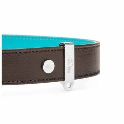 MyFamily Collare Hermitage In Pelle Testa Di Moro E Turchese Per Cani 8 MyFamily Collare Hermitage In Pelle Testa Di Moro E Turchese Per Cani -Alimentazione negozio 8831 1