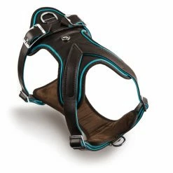 MyFamily Pettorina H Hermitage In Pelle Turchese E Marrone