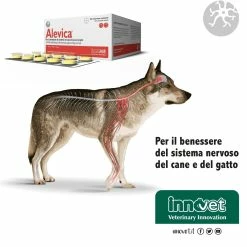 Innovet Alevica® Integratore Compresse Masticabili Per Cani E Gatti 13 Innovet Alevica® Integratore Compresse Masticabili Per Cani E Gatti -Alimentazione negozio 9022 1