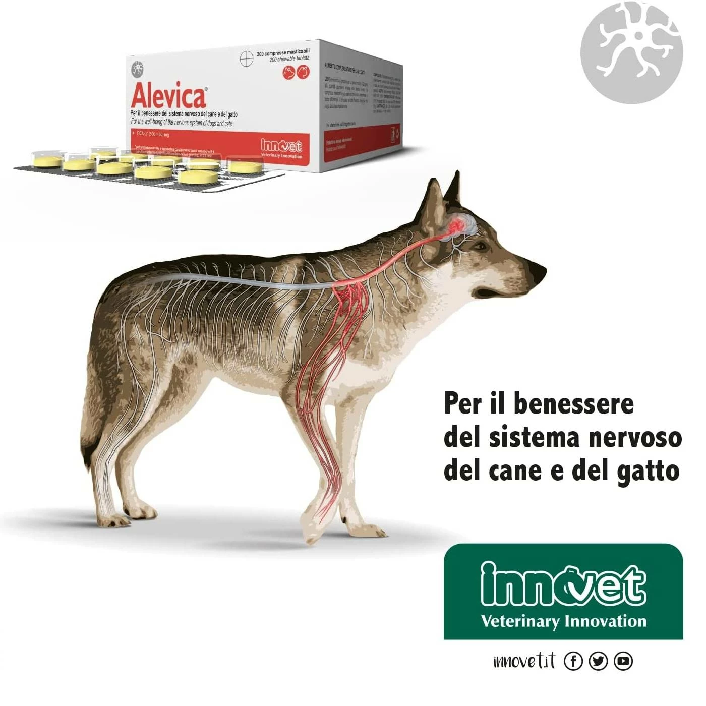 Innovet Alevica® Integratore Compresse Masticabili Per Cani E Gatti 6 Innovet Alevica® Integratore Compresse Masticabili Per Cani E Gatti - immagine 4